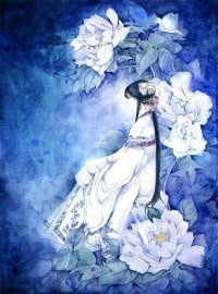 穿越女尊:夫君你煞到我了