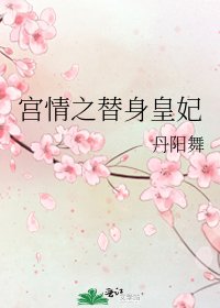 宮情之替身皇妃