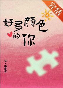 一幅拼圖畫