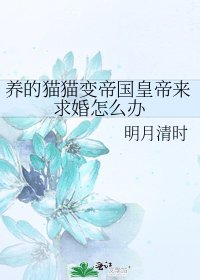 养的猫猫变帝国皇帝来求婚怎么办